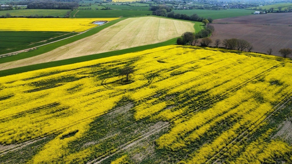 View of fields in the proposal